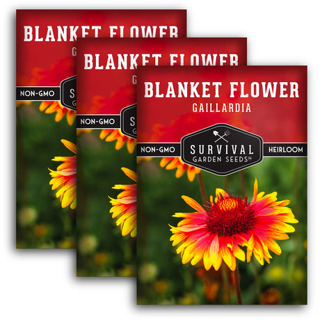 Blanket Flower Seeds