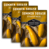 Straightneck Summer Squash Seed