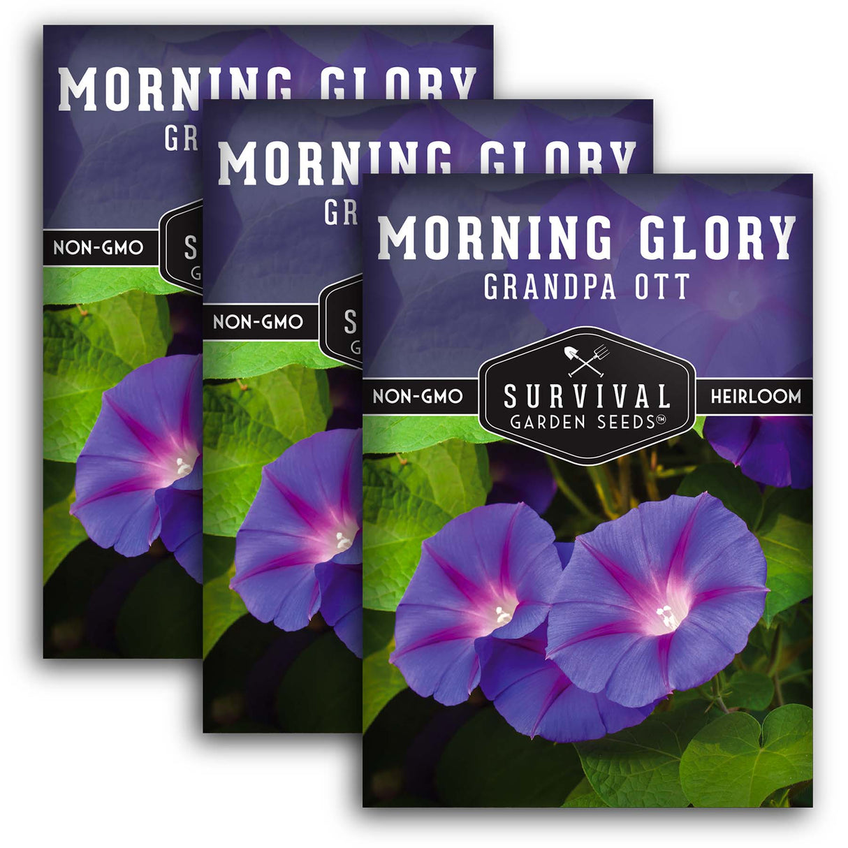 3 Packets of Grandpa Ott Morning Glory Seeds