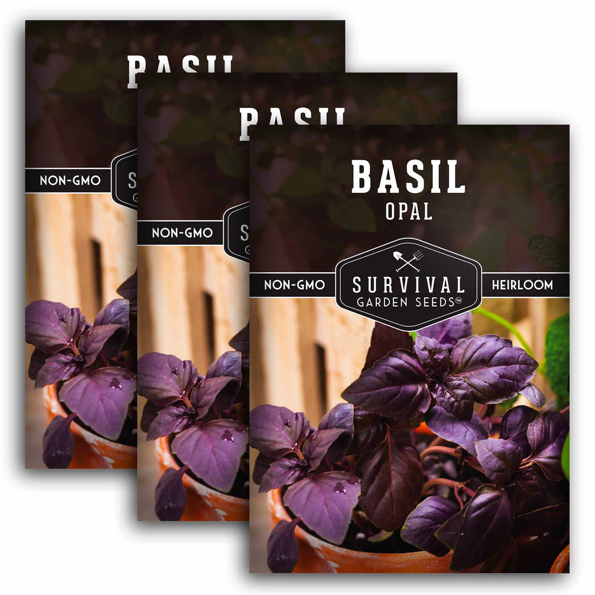 3 packs of opal basil seeds