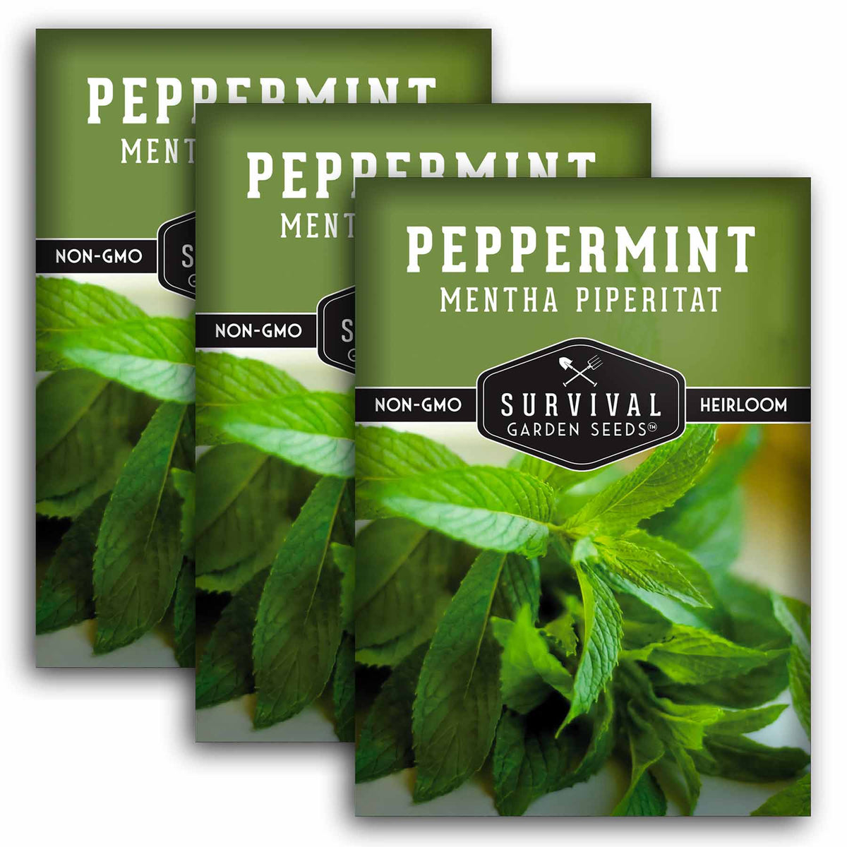 3 packets of peppermint seeds