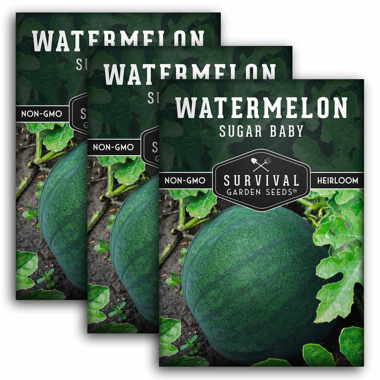 Sugar Baby Watermelon Seed