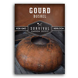 Bushel Gourd Seed