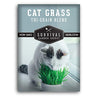 Cat Grass Seed