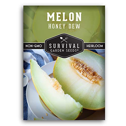 Honeydew Melon Seed