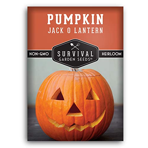 Jack-O-Lantern Pumpkin Seed