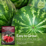 Crimson Sweet Watermelon Seed