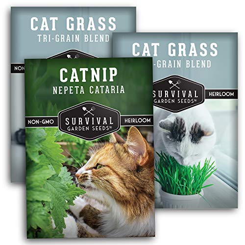 Cat Collection - Catnip & 2 Cat Grass Seed Packets