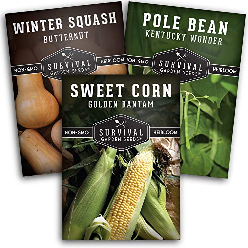 Three Sisters Collection - Sweetcorn, Butternut Winter Squash & Pole Beans