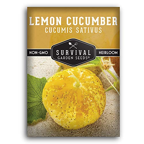 Lemon Cucumber Seed