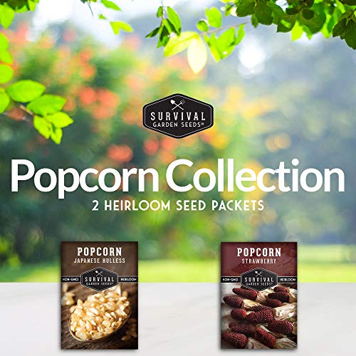 Popcorn Collection - Strawberry & Japanese Hulless