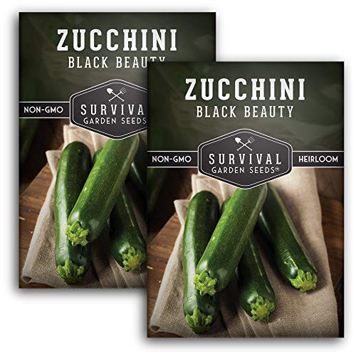 Black Beauty Zucchini Seed