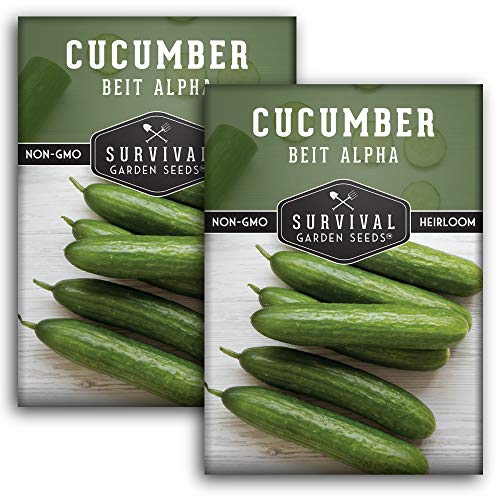 Beit Alpha Cucumber Seed