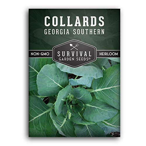 Georgia Southern Collard Greens Seed