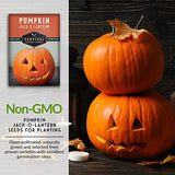 Jack-O-Lantern Pumpkin Seed