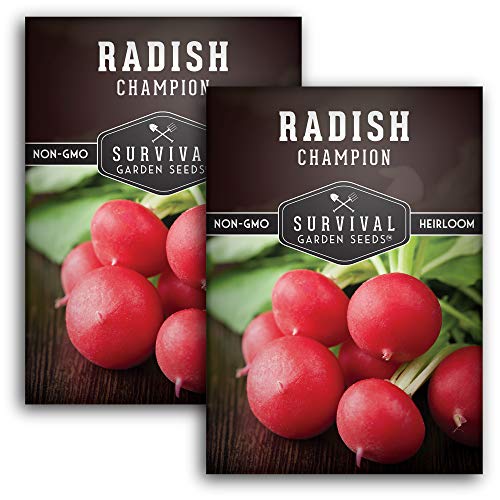 Champion Radish Seed