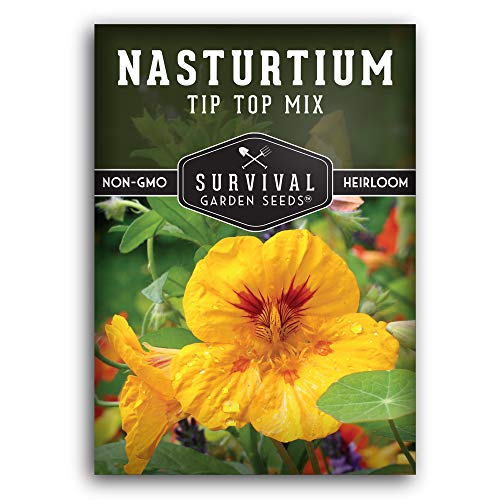 Tip Top Mix Nasturtium Seed