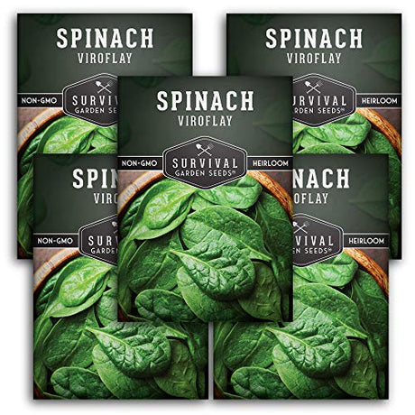 Viroflay Spinach Seed