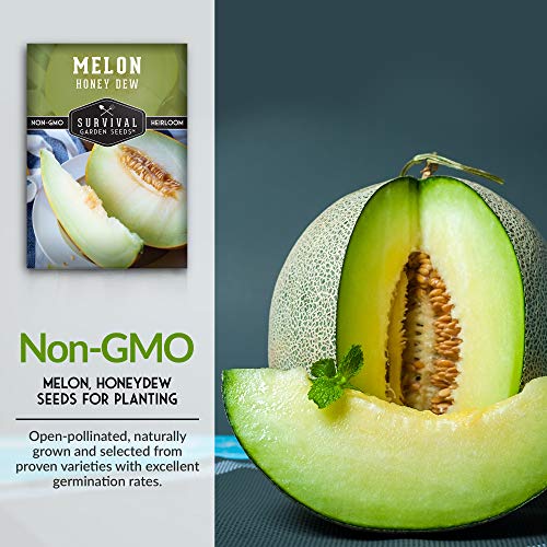 Honeydew Melon Seed