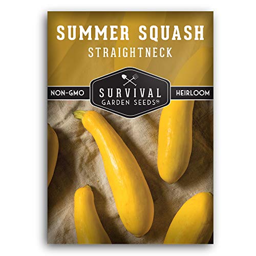 Straightneck Summer Squash Seed