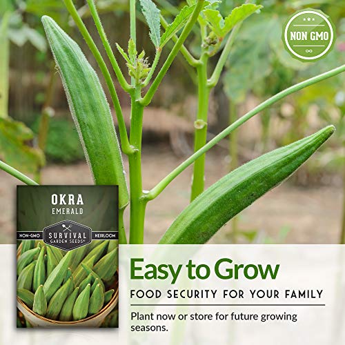 Emerald Okra Seed