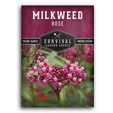 Rose Milkweed Seeds