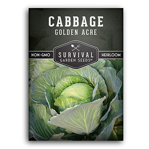 Golden Acres Green Cabbage Seed