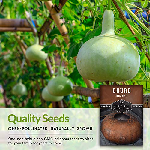 Bushel Gourd Seed