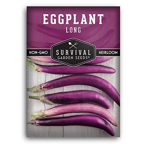 Long Purple Eggplant Seed