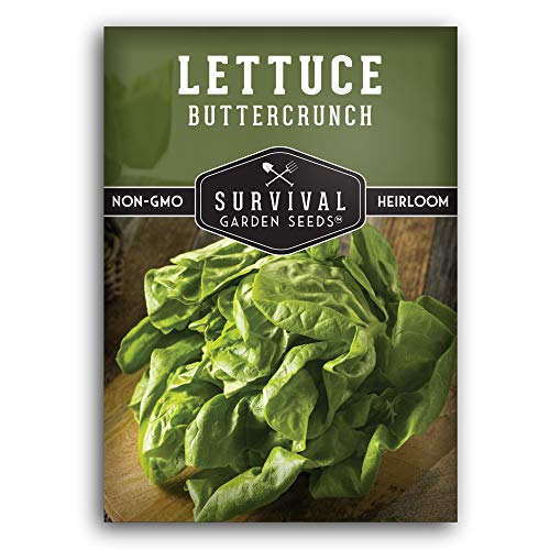 Buttercrunch Lettuce Seed