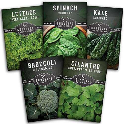 Cool Weather Collection Seed Vault - Spinach, Kale, Cilantro, Broccoli, and Leaf Lettuce