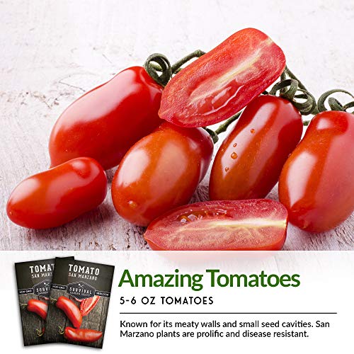 San Marzano Tomato Seed