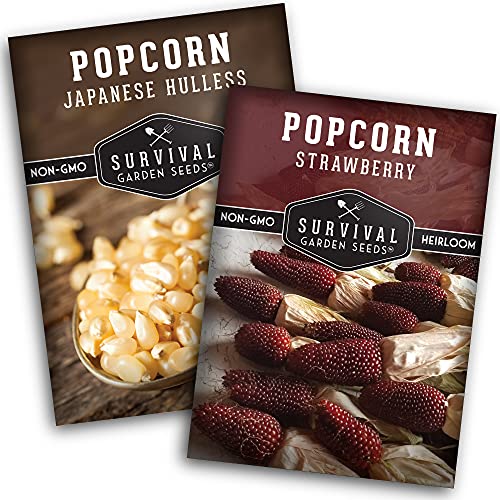 Popcorn Collection - Strawberry & Japanese Hulless