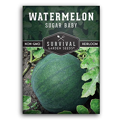 Sugar Baby Watermelon Seed