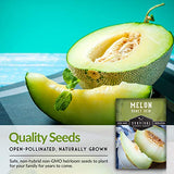 Honeydew Melon Seed