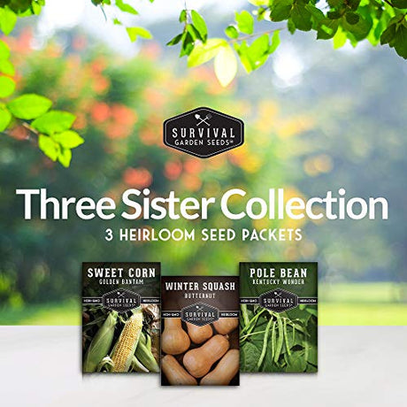 Three Sisters Collection - Sweetcorn, Butternut Winter Squash & Pole Beans