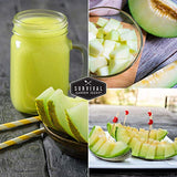 Honeydew Melon Seed