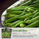 Emerald Okra Seed