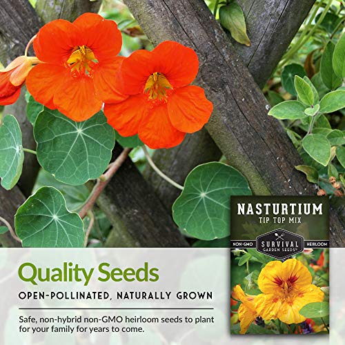 Tip Top Mix Nasturtium Seed