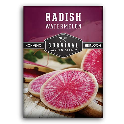 Watermelon Radish Seed