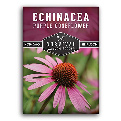 Echinacea Seeds - Coneflower - SurvivalGardenSeeds