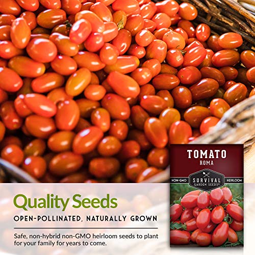 Roma Tomato Seed For Planting SurvivalGardenSeeds roma-tomato-seed-for-planting-survivalgardenseeds