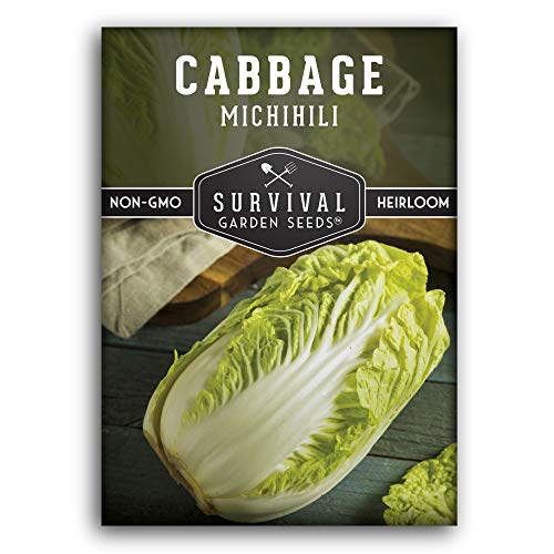 Michihili Nampa Cabbage Seed