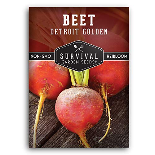 Detroit Golden Beet Seed