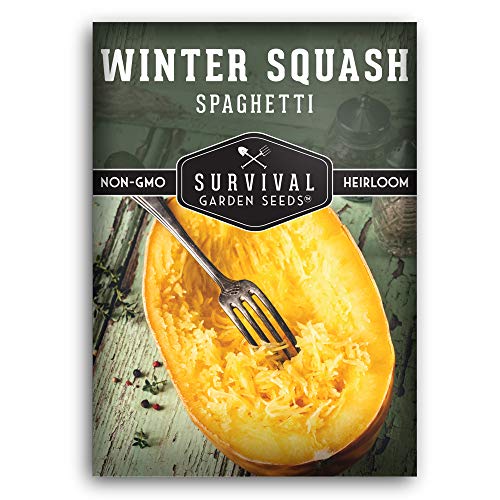 Spaghetti Squash Seed