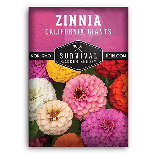 California Giants Zinnia Seed