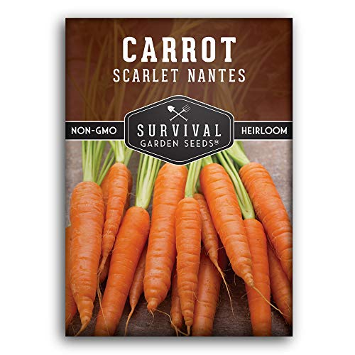 Scarlet Nantes Carrot Seed