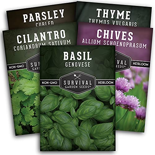Culinary Herb Collection - Parsley, Cilantro, Basil, Chives, Thyme