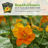 Tip Top Mix Nasturtium Seed