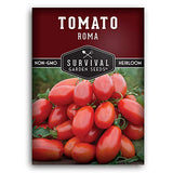 Roma Tomato Seed